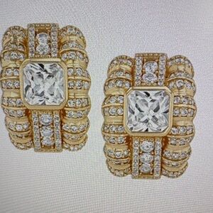 Luxurious Gold and Silver Women's Earrings